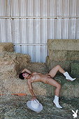 Load...