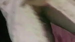 Mature Tamil Wife Blowjob and Fucking