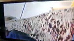 Desi Bhabhi Pussy Licking and Fucking