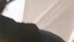 Video call bhabhi part