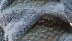 Video call bhabhi part