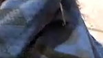 Video call bhabhi part
