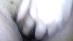 Desi Innocent Brown Babe Priyanka Showing Nudes