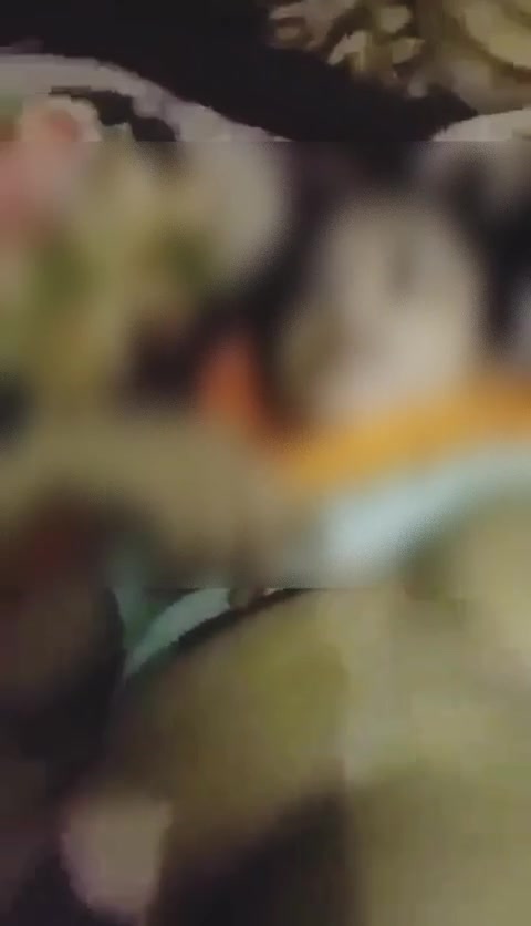Frame 10
