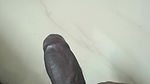 Big black dick