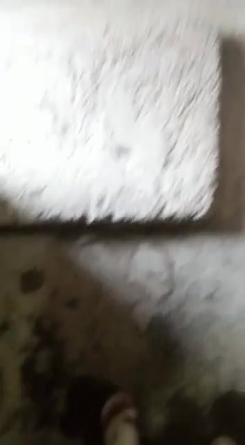 Desi Maal Smexy Tv