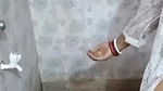 Indian bathroom show