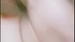 Rose bora joubon chamet