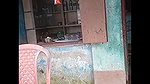 Red light area Kolkata Sonagachi