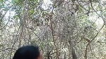 Sexy College Girlfriend Outdoor Fucking With Lover