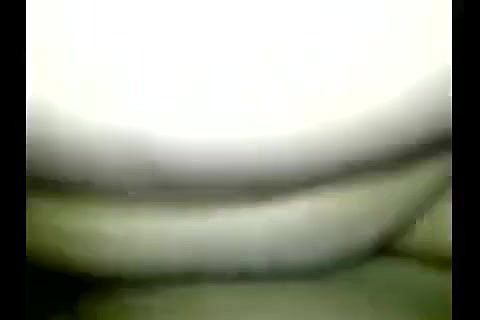 Anty