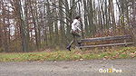 Ali Bordeaux squats and pees on a wooden bench