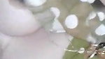 Village bhabhi 5 clips marged