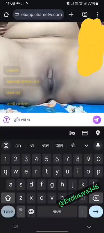 sunflower chamet