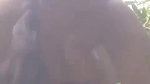 VIDWA video