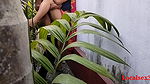 House Garden Clining Time Sex A Bengali Wife With Saree in Outdoor