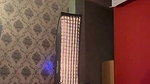 abbyRoyv 29