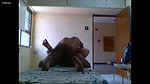 Tamil Couple In Sleazy Hotel Sex