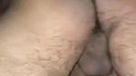 Young desi big bull fucked mature Bhabhi hard in font hubby close capture and cum shot