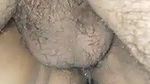 Young desi big bull fucked mature Bhabhi hard in font hubby close capture and cum shot