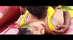 Telugu Aunty Romance And Affair With Young Paying Guest