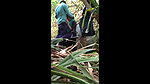 Indian Desi Boy Fucking Gf In Jungle