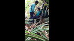 Indian Desi Boy Fucking Gf In Jungle