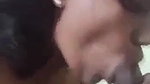 Tamil aunty sucking a cock