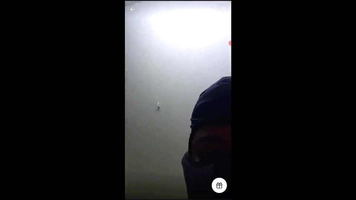 Tango Videos 310725