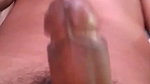 xfreeshibaprasad2481032