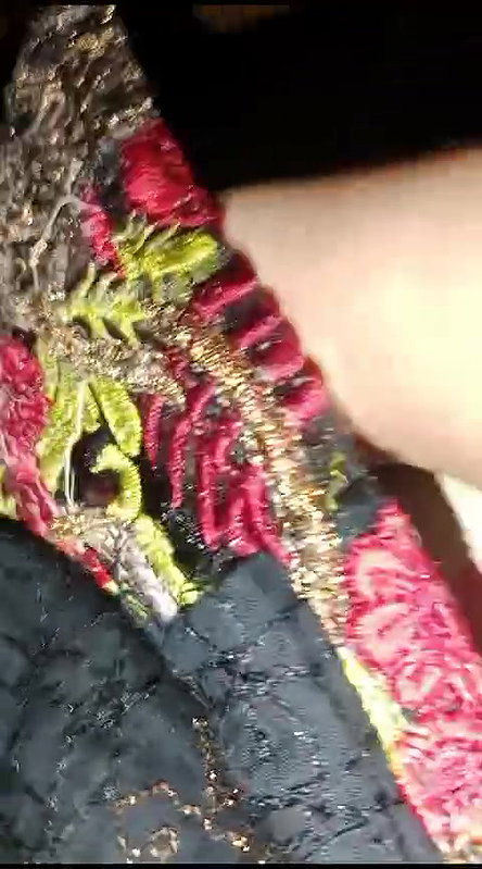 Sleeping wife sex awakening by husband after travel