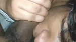Indian girlfriend blowjob with lover