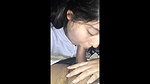 Very Cute Girl Blowjob