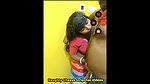 NaughtyChaaya Stripchat Videos