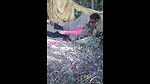 desi sex movie of village prostitute fucking outdoor with client