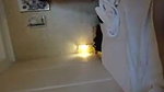 hardvideostube com sex indonesia hard fucking