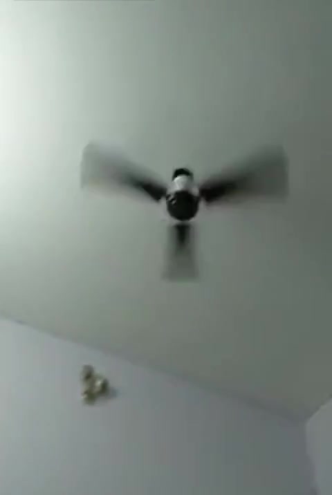 Frame 10