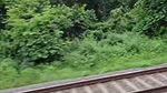 New viral couple video on train part1