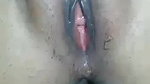 Desi couple clean shaved pussy