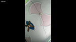 Bangla Neighbour Girl Naked