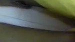 Kinky amateur dark skinned Indian girlie flashed her cute titties