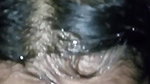 19yo virgin teen college sex girl blowjob and xxx