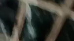 sharp boobs show cute girlfriend on video call