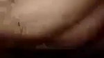 VID 20251029 WA0004