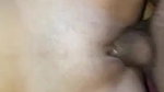 VID 20251029 WA0058
