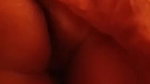 VID 20251029 WA0205