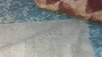VID 20251029 WA0163