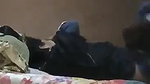 Paki college sex incest girl viral fucking by uncle