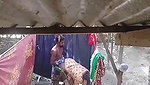 Cheater mature village bhabhi Fucking by devar in bathroom, when someone calling her from outside