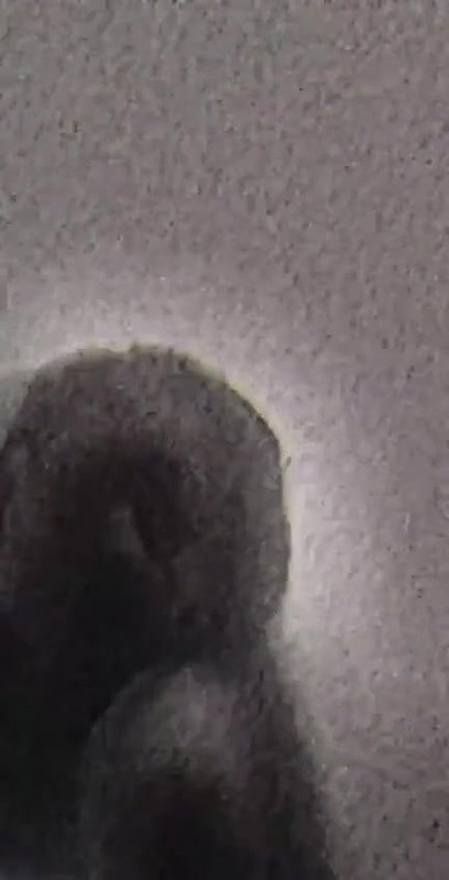Video 115